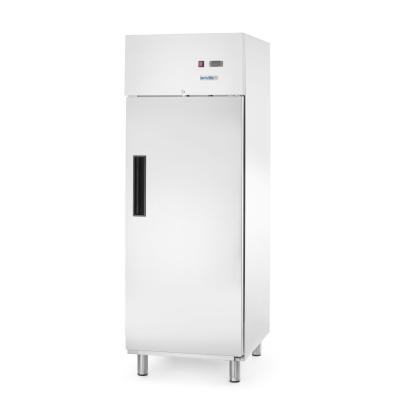 Lednice, jednokřídlé dveře, Arktic, GN 2/1, 465L, 230V/250W, 700x880x(H)2043mm | 236673